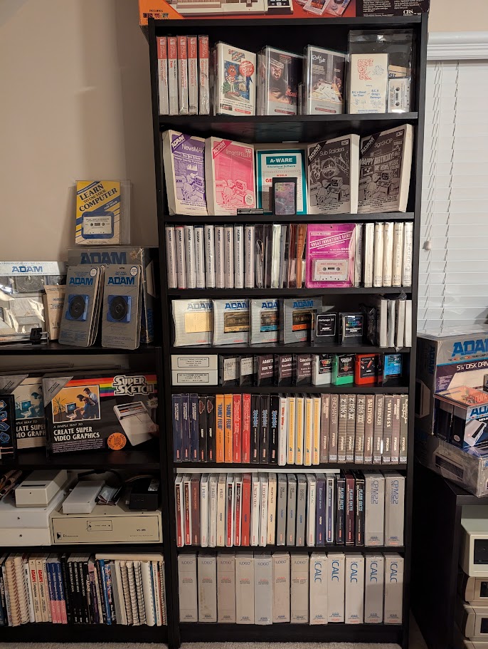 Collection Display 6